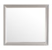 Contemporary Silver Champagne Wall Mirror
