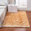 1pc Fluffy Imitation Wool Area Rug, Suede Fleece Bottom Long Imitation Wool Rug, Acrylic 80% Polyester 20%, 2.36inch Long Wool