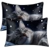 2 Pcs Cats And Starry Sky Art Bedroom Satin Print Soft Skin Friendly Pillowcases Suitable For All Seasons